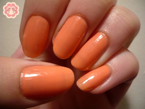 pizap.com13910048045061