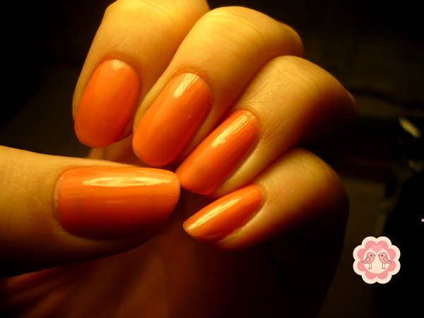 pizap.com13910050163831