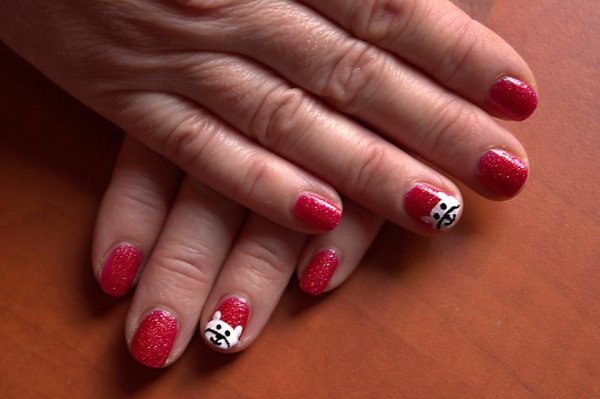 1013164_262231303940767_210550404_n